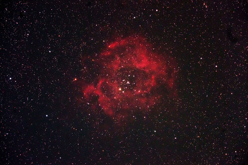 ROSE_FC-76D+RD+LPR_Psx4.jpg